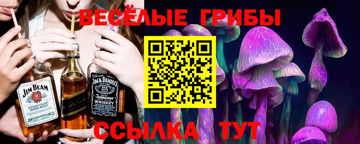 что такое   Псилоцибиновые грибы Magic Shrooms  Шадринск  Вход с VPN  Галлюциногенные грибы MAGIC MUSHROOMS 