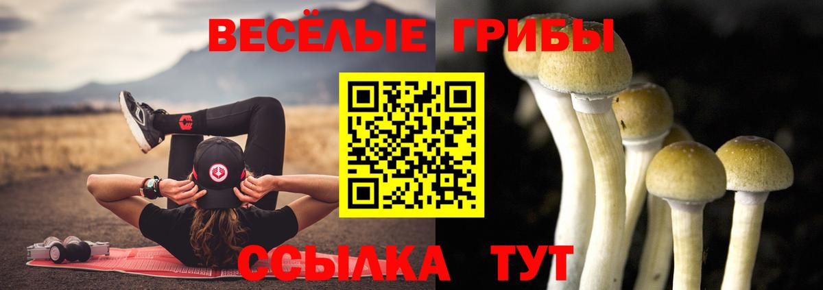 Псилоцибиновые грибы Psilocybine cubensis Шадринск
